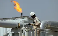 Giá dầu gần như không biến động