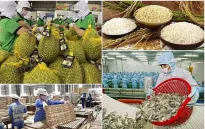 Xuất khẩu nông - thủy sản bứt tốc về đích