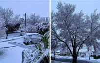 Tuyết rơi dày bất thường gây tê liệt miền Đông Australia