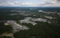 Phá rừng Amazon gia tăng trở lại ở Colombia