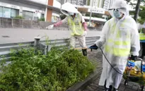 Hong Kong (Trung Quốc) cảnh báo nguy cơ gia tăng ca nhiễm virus chikungunya