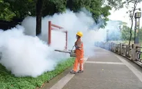 Trung Quốc: Dịch sốt chikungunya tại Quảng Đông giảm nhưng nguy cơ vẫn hiện hữu