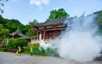 Bệnh do virus chikungunya chưa có cách điều trị đặc hiệu