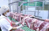 Giá thịt lợn giảm mạnh