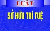 Đề xuất 5 nhóm chính sách sửa đổi, bổ sung một số điều của Luật Sở hữu trí tuệ