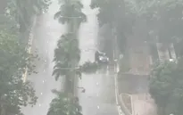 Bão Tapah gây mưa lớn tại Hong Kong (Trung Quốc)