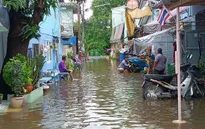 Mưa lũ gây ngập diện rộng tại 12 tỉnh của Thái Lan, ít nhất 3 người thiệt mạng