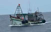 Cảnh sát biển 3 kịp thời cấp cứu ngư dân bị rắn biển cắn