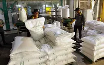 Làn sóng giảm giá 'phủ bóng' thị trường nông sản thế giới