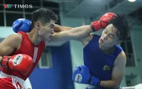 Gần 400 VĐV tranh tài tại Giải Vô địch Boxing Toàn quốc 2025