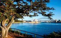 Lý do thực sự khiến nhiều người New Zealand chuyển sang sống tại Australia