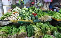Dự báo rau xanh khan hiếm tại TP Hồ Chí Minh