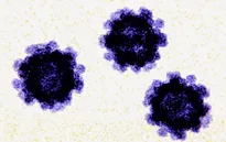 Số ca nhiễm Norovirus ở Mỹ tăng gấp 2 lần
