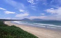 Du khách tử vong do cá mập tấn công tại bờ biển Australia