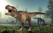 Hóa thạch mới cho thấy khủng long T. rex lớn chậm hơn nhiều so với dự đoán