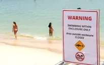 Cá mập tấn công người liên tiếp, Australia đóng cửa 40 bãi biển