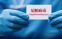 Trung Quốc phát hiện thuốc phòng chống virus Nipah hiệu quả