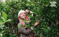 Duy Khánh và dấu ấn sự nghiệp đáng nhớ cùng Gia đình Haha