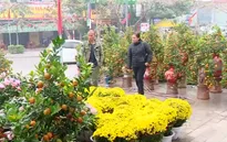 Rộn ràng Chợ hoa Xuân trên nhiều tuyến phố Hà Nội