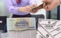 Thị trường trái phiếu chính phủ ghi nhận diễn biến trái chiều đầu năm 2026