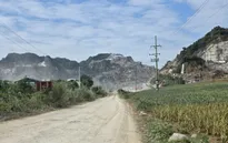 Thanh Hóa tăng cường giải pháp quản lý, bình ổn giá vật liệu xây dựng