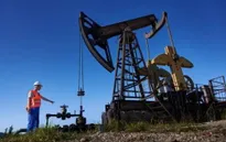 Giá dầu biến động mạnh, các châu Á kích hoạt “lá chắn” năng lượng
