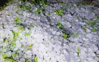 Mưa đá, dông lốc làm hàng trăm nhà dân vùng núi Bắc Bộ hư hỏng, cây trồng thiệt hại