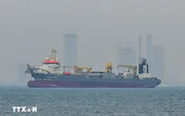 Lượng tàu qua eo biển Hormuz chịu tác động từ xung đột
