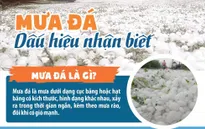 Mưa đá - chủ động ứng phó từ sớm