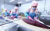Xuất khẩu nông lâm thủy sản 4 tháng đầu năm đạt 23,04 tỷ USD