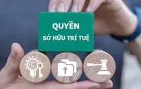 Xử lý xâm phạm quyền sở hữu trí tuệ: Không có vùng cấm, không có ngoại lệ