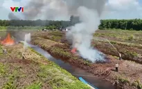 Mưa trái mùa ở Cà Mau làm tăng nguy cơ cháy rừng