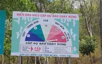 TP Hồ Chí Minh cảnh báo cháy rừng ở cấp cực kỳ nguy hiểm