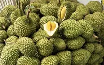 Sầu riêng tiếp tục tạo cú hích cho xuất khẩu nông sản Việt