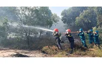 Quảng Trị: Cháy rừng tại giáp ranh hai xã Quảng Ninh và Ninh Châu