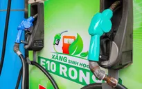 Doanh nghiệp xăng dầu sẵn sàng "phủ sóng" toàn quốc xăng E10 từ 1/6