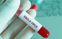  Italy báo cáo 2 trường hợp nghi nhiễm Ebola 