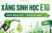 Xăng E10 phủ sóng toàn quốc: Thúc đẩy tự chủ năng lượng, hướng tới phát triển bền vững