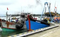 3 tàu cá có dấu hiệu vi phạm IUU bị cảnh sát biển phát hiện, bắt giữ