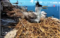VTV ra mắt Vietnam Wild Live: Lần đầu tiên truyền hình trực tiếp thiên nhiên hoang dã