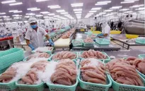 Minh bạch hàng hóa thủy sản xuất khẩu