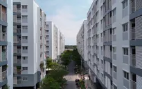 Phát triển nhà ở cho thuê: “Van xả áp” cho thị trường bất động sản