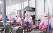 Xuất khẩu thủy sản Việt Nam tăng tốc, hướng tới mốc 12 tỷ USD