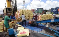 Xuất khẩu nông lâm thủy sản 6 tháng đầu năm đạt gần 36 tỷ USD
