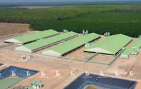 Đất nông nghiệp chưa sổ đỏ có được xây dựng trang trại?