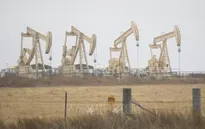 OPEC hạ dự báo tăng trưởng nhu cầu dầu toàn cầu