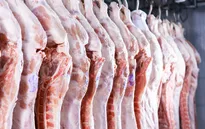 TP. Hồ Chí Minh truy xuất nguồn gốc thịt lợn, gia cầm