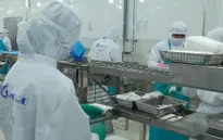 Xuất khẩu nông, lâm, thủy sản đạt gần 36 tỷ USD