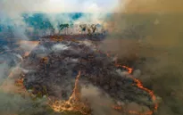 Cảnh báo hiện tượng El Nino đạt đỉnh vào năm 2027