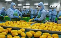 Mỹ thúc đẩy xuất khẩu nông sản sang Việt Nam